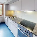 Kompleks wypoczynkowy Reka-feriendorf Disentis